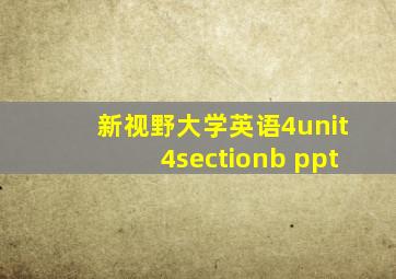 新视野大学英语4unit4sectionb ppt